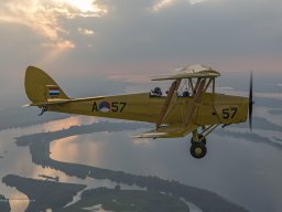 2017-10-14_TIGER_PH-TYG_D813074-Edit(2030)BU