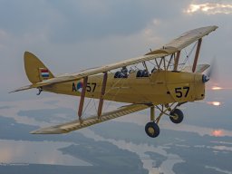 2017-10-14_TIGER_PH-TYG_D813140-Edit(2030)BU